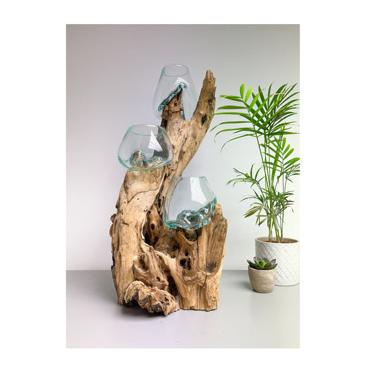 Triple Melted Glass Bowl on Driftwood