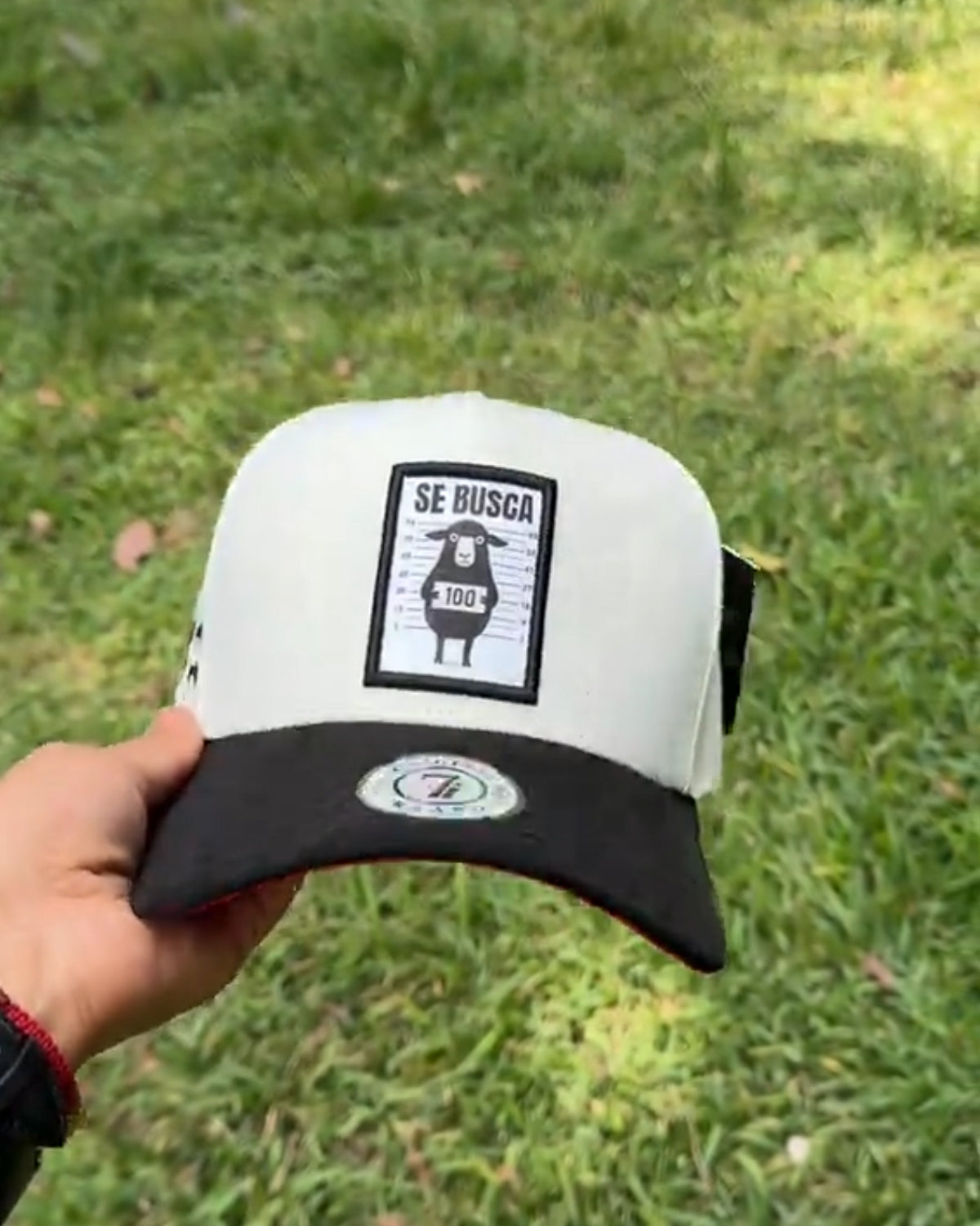 Trucker Hat