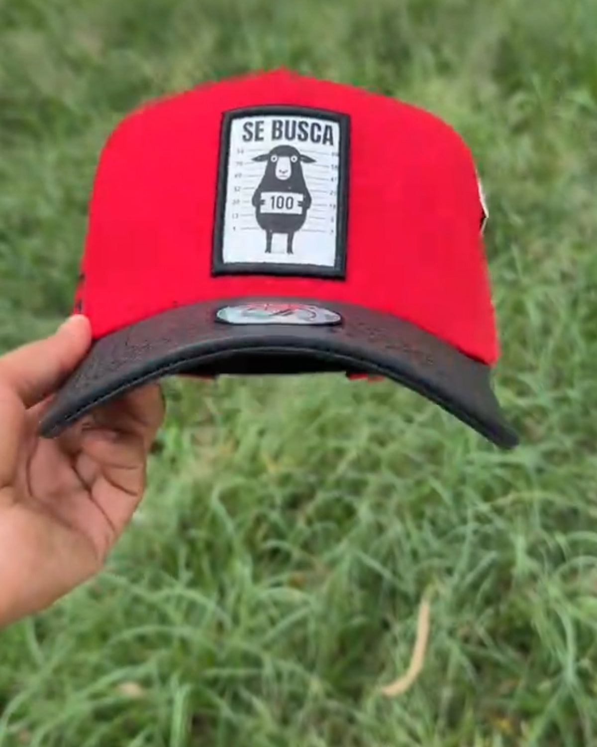 Trucker Hat
