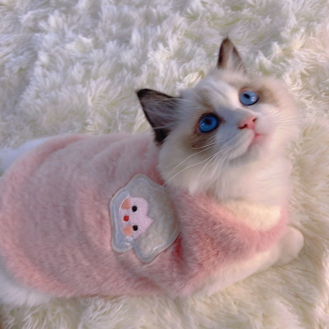 Niedliche Herbst- und Winterkatzenkleidung, warme und dicke Westen für Hunde, verhindert Haarausfall, geeignet für kleine Haustiere und Kätzchen