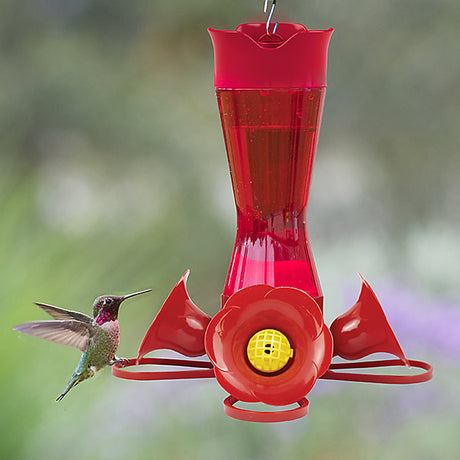 Kolibri-Futterspender mit Taillenverengung