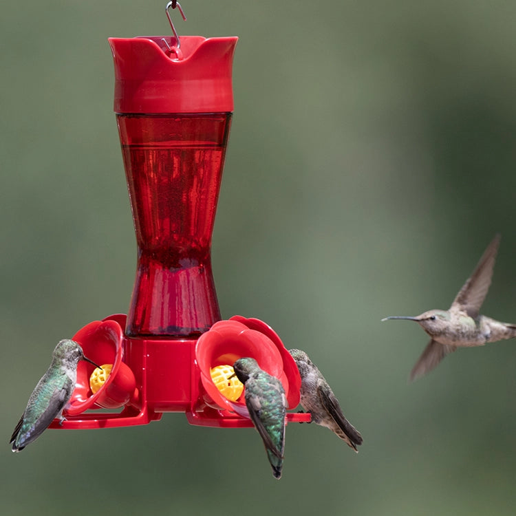 Kolibri-Futterspender mit Taillenverengung