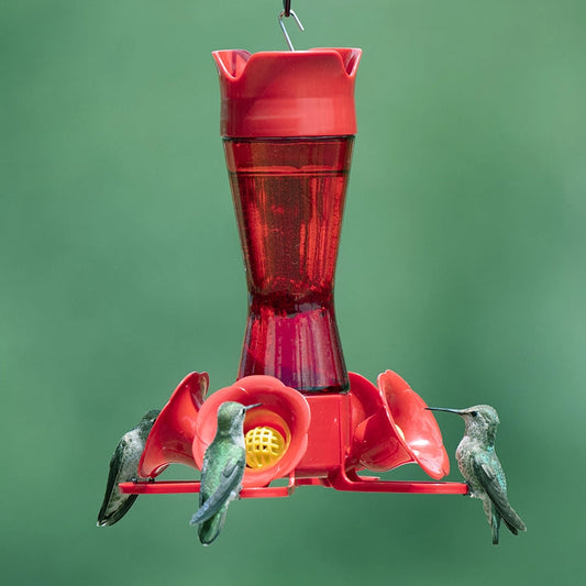 Kolibri-Futterspender mit Taillenverengung
