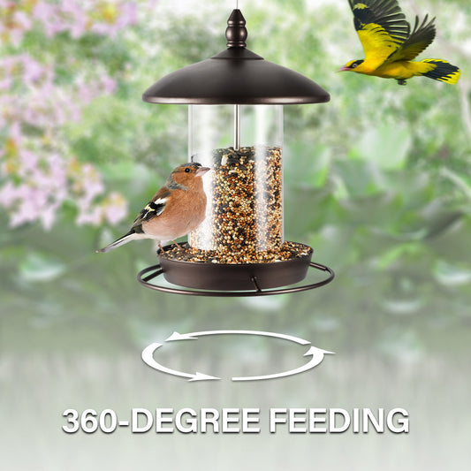 Eichhörnchen-Beweis Vogel fütterer