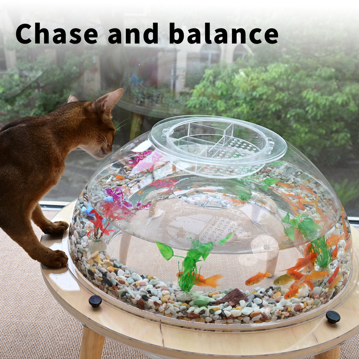 Interactive Orbit Fish Tank