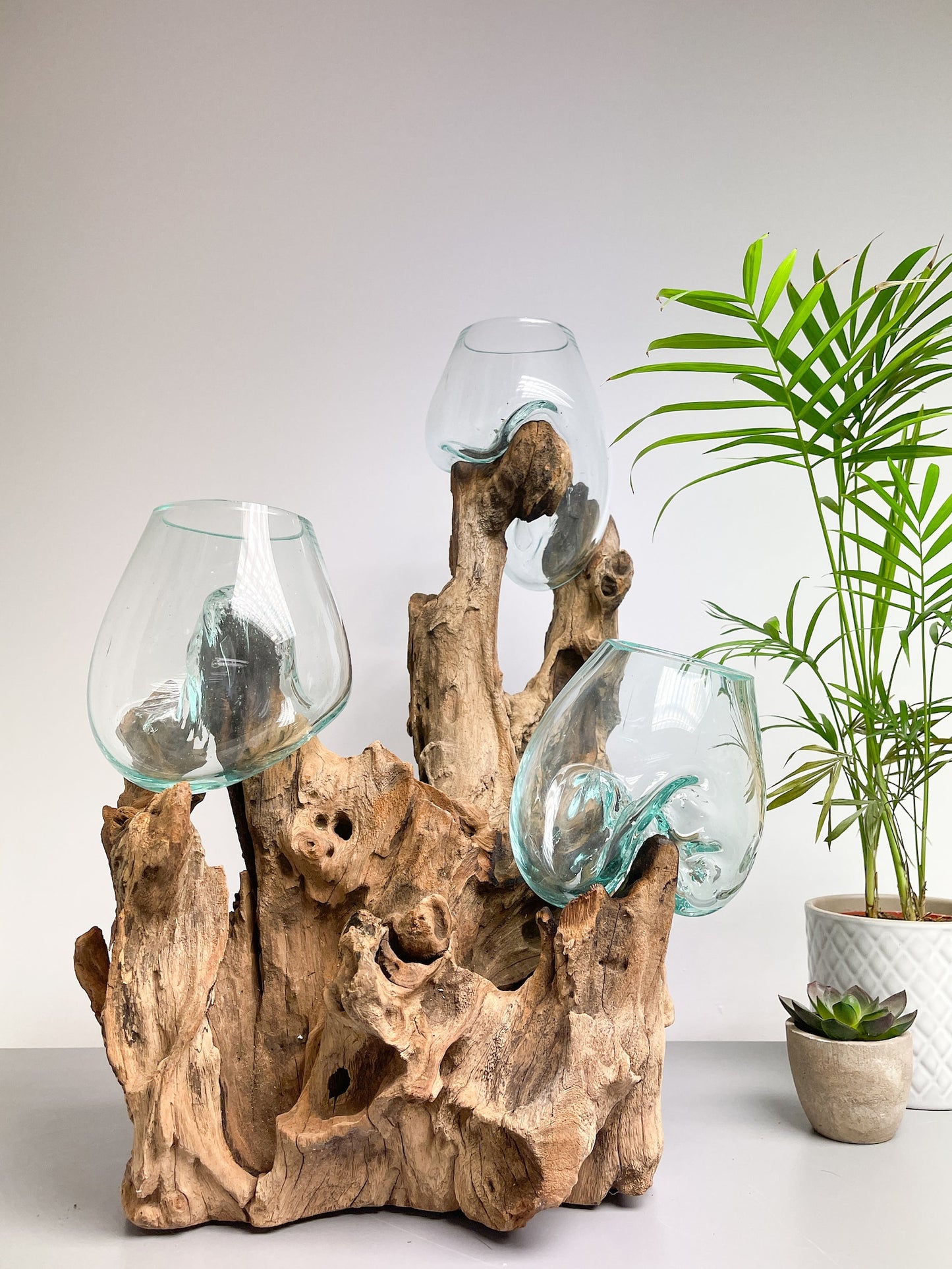 Triple Melted Glass Bowl on Driftwood