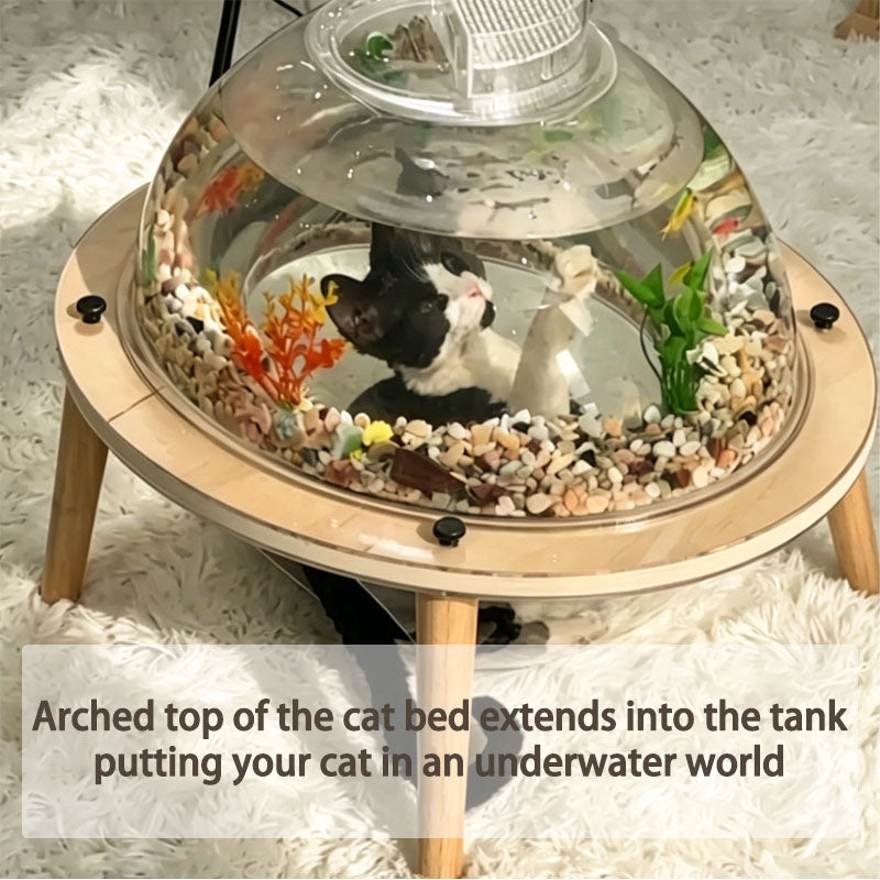 Interactive Orbit Fish Tank